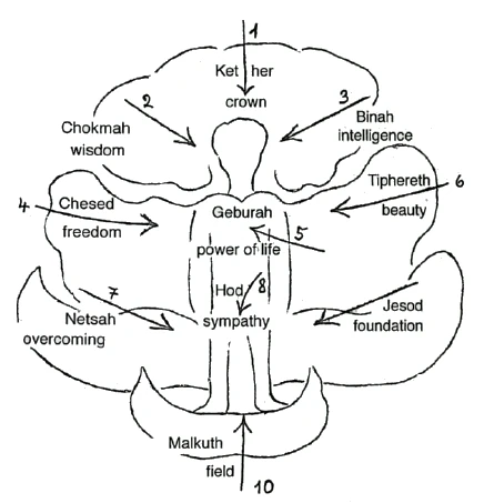 relation of man to the Sephiroth Tree