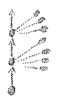 AltName