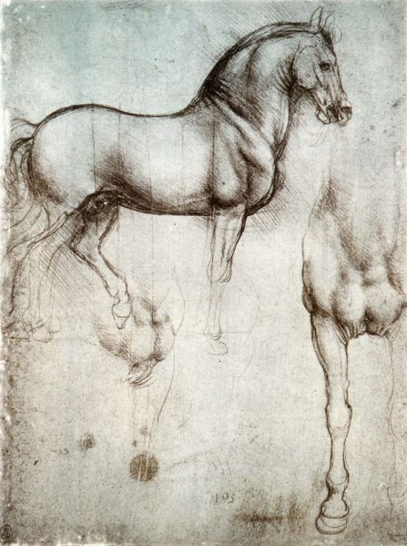 sketch of horse