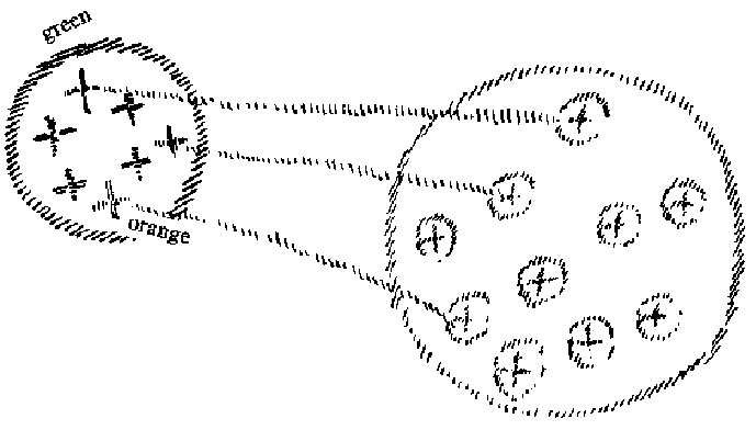 Diagram 5