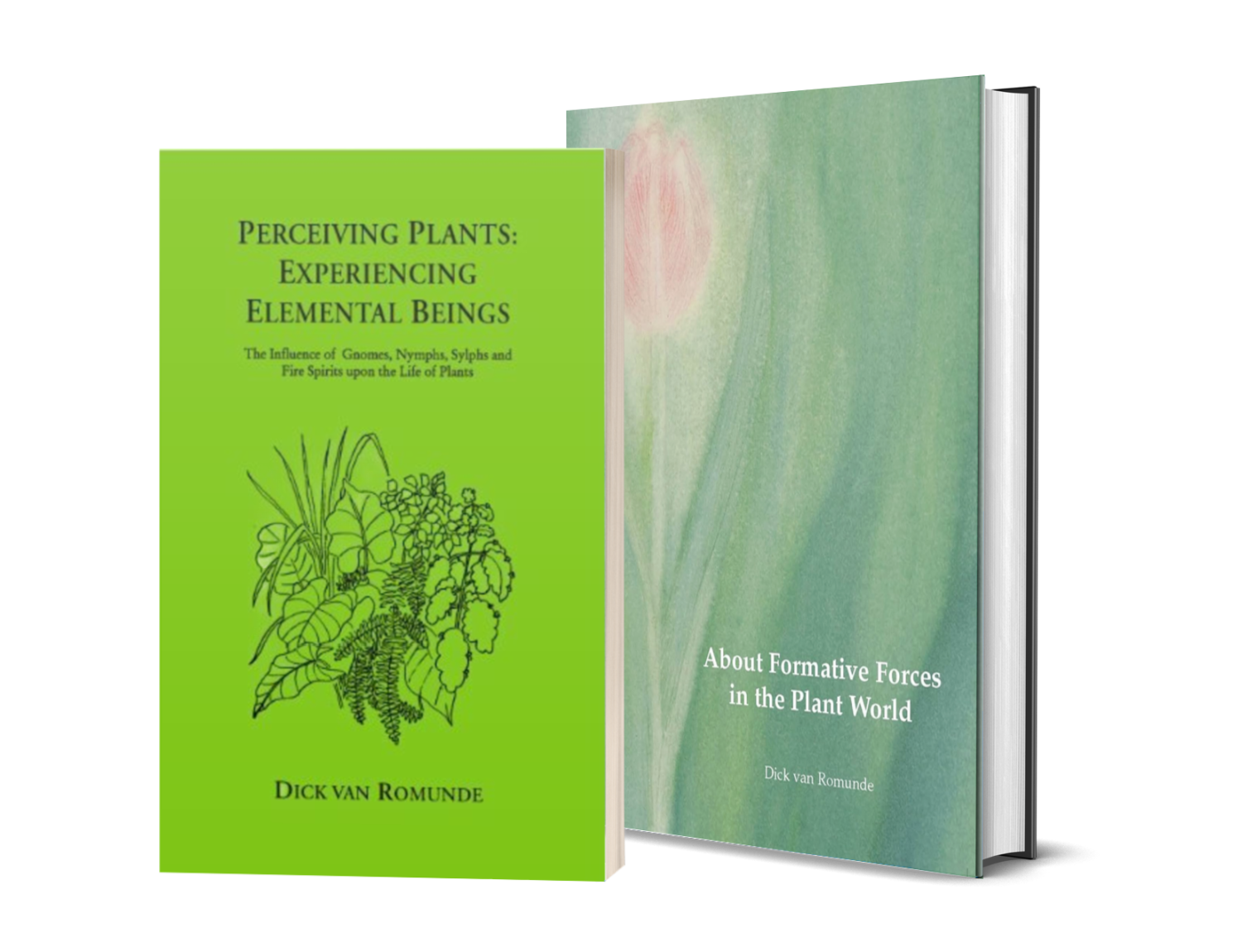 About Formative Forces in the Plant World Bundle